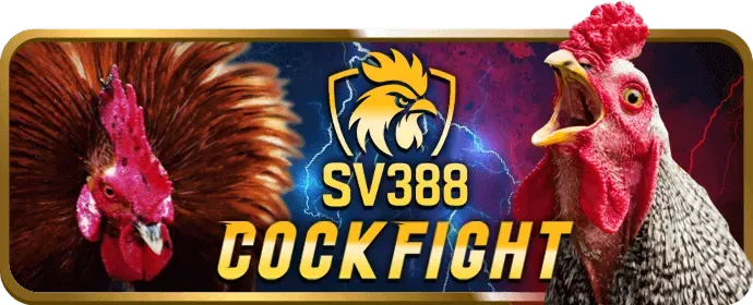 Câu hỏi thường gặp về đá gà tại f8bet80 casino